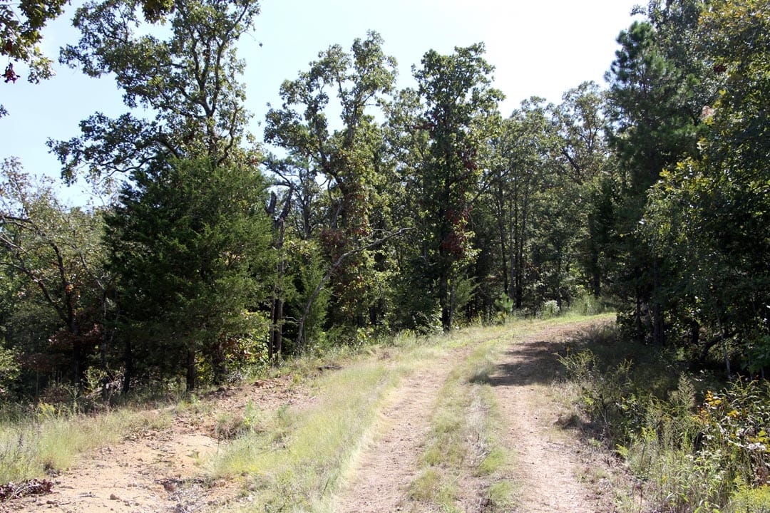 Lakeview Private Reserve Tract 4 photo 2