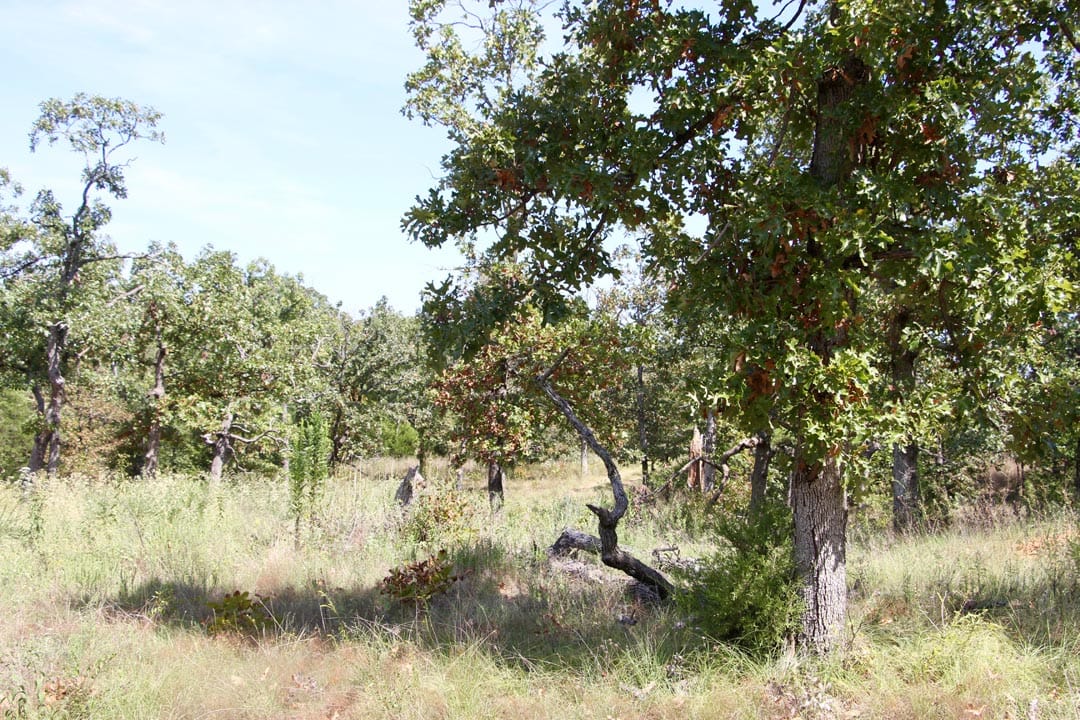 Lakeview Private Reserve Tract 4 photo 3