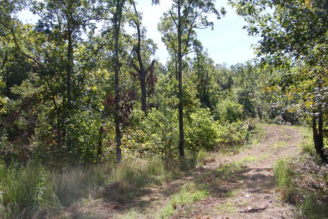 Lakeview Private Reserve Tract 4 photo 4