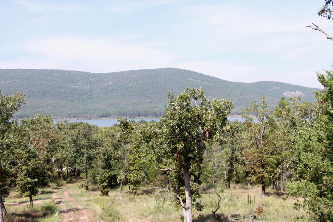 Lakeview Private Reserve Tract 4 photo 6
