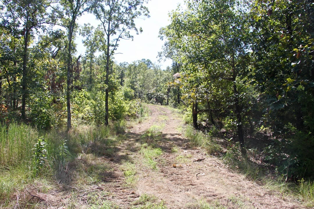 Lakeview Private Reserve Tract 4 photo 7