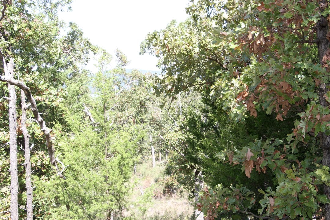 Lakeview Private Reserve Tract 4 photo 9