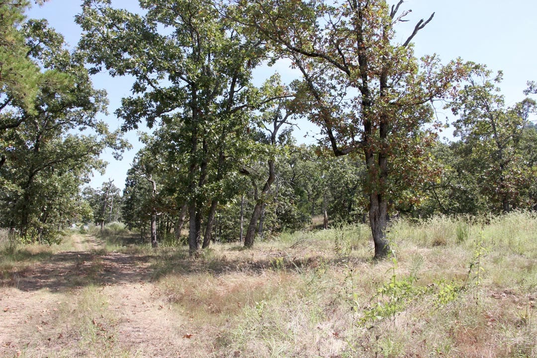 Lakeview Private Reserve Tract 4 photo 10