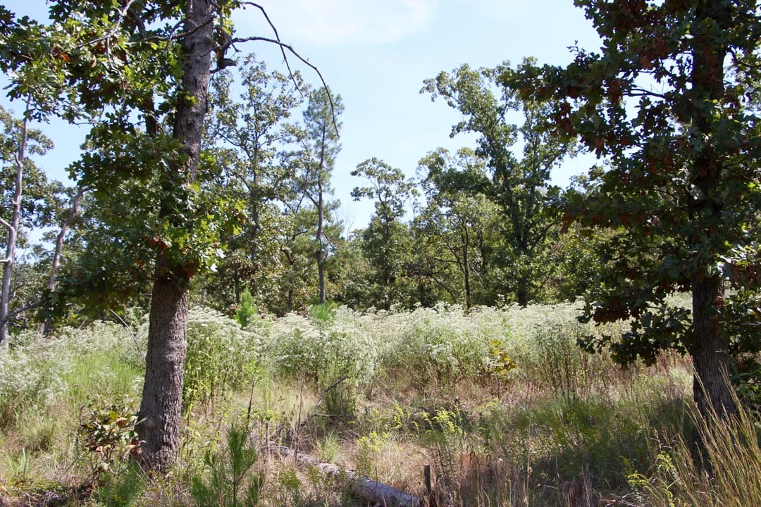 Lakeview Private Reserve Tract 4 photo 11