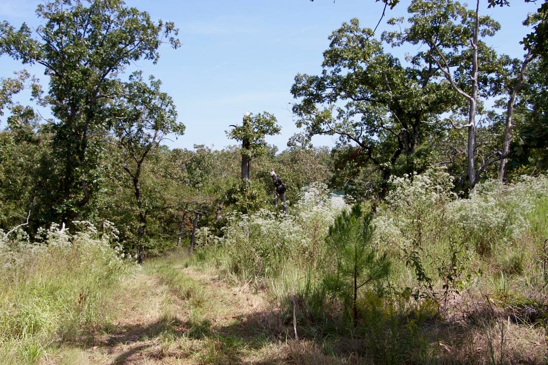 Lakeview Private Reserve Tract 4 photo 12