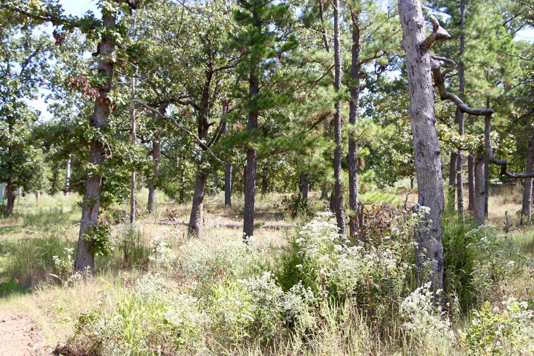 Lakeview Private Reserve Tract 4 photo 13