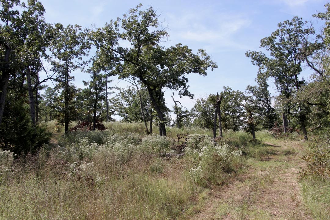 Lakeview Private Reserve Tract 4 photo 14