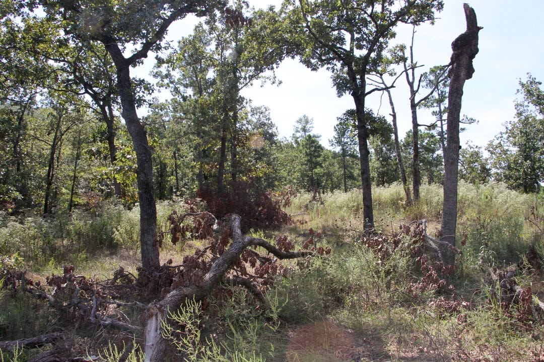 Lakeview Private Reserve Tract 4 photo 15