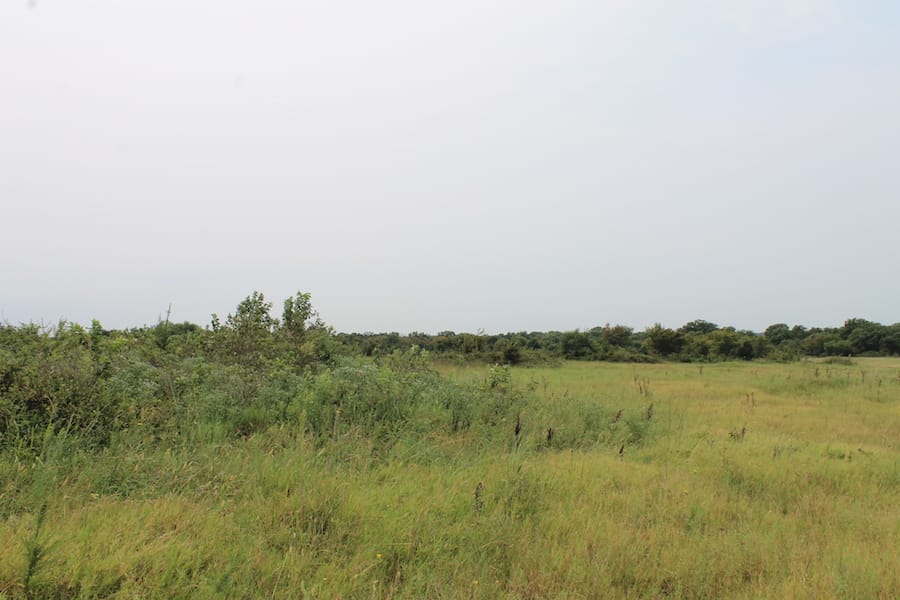 Saddlebrook Ranch Tract 36 photo 1