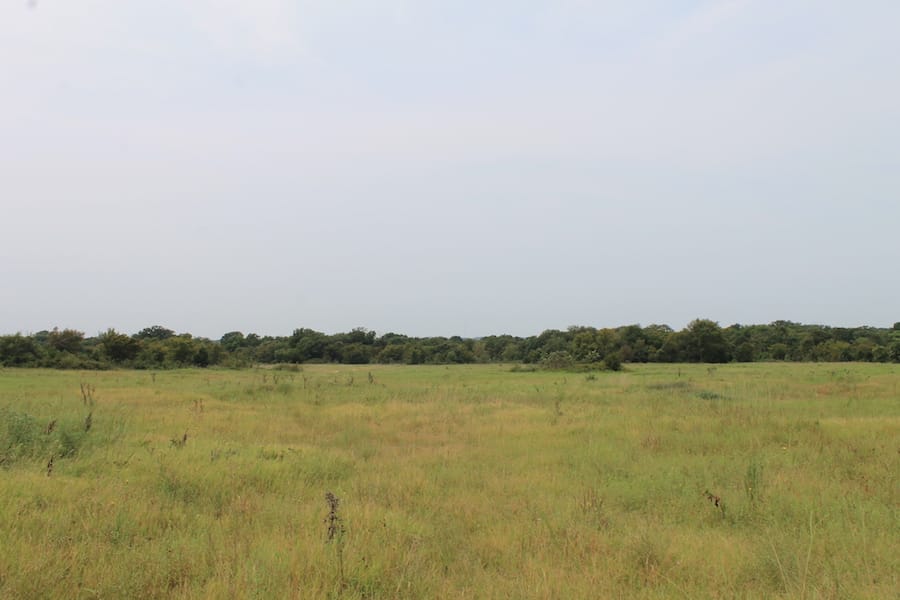 Saddlebrook Ranch Tract 36 photo 2