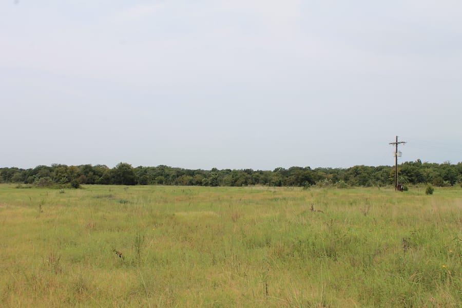 Saddlebrook Ranch Tract 36 photo 3