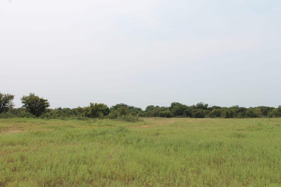 Saddlebrook Ranch Tract 36 photo 5