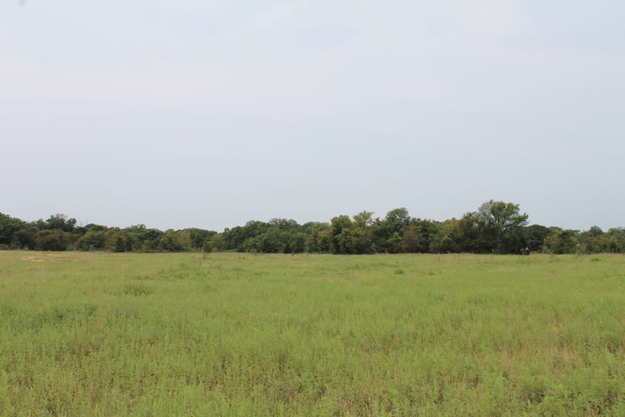 Saddlebrook Ranch Tract 36 photo 6