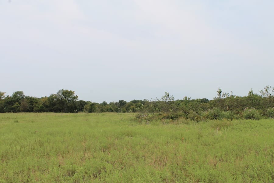 Saddlebrook Ranch Tract 36 photo 7