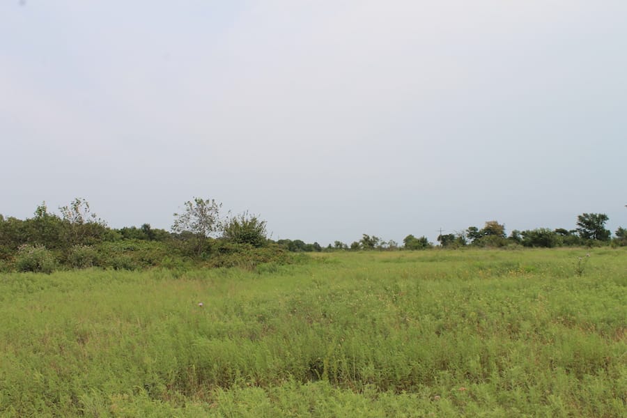 Saddlebrook Ranch Tract 36 photo 8