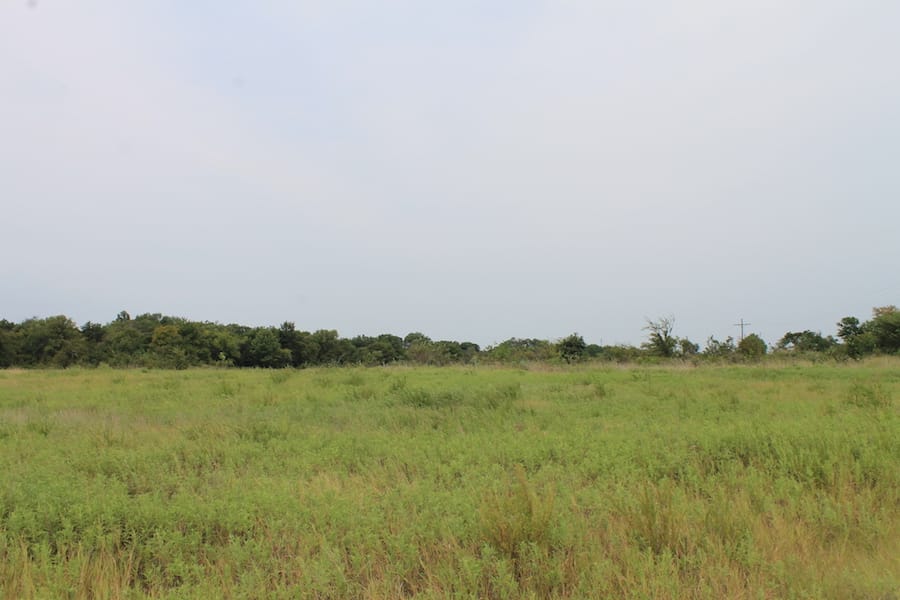 Saddlebrook Ranch Tract 36 photo 9