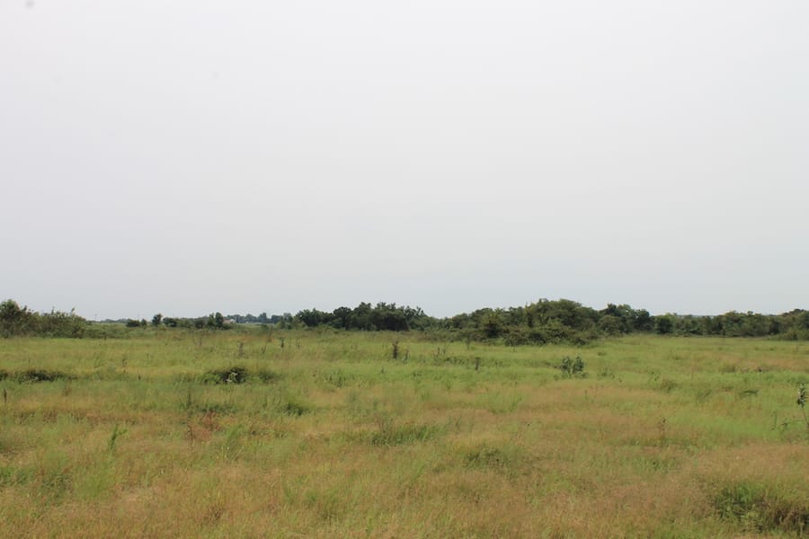 Saddlebrook Ranch Tract 36 photo 11