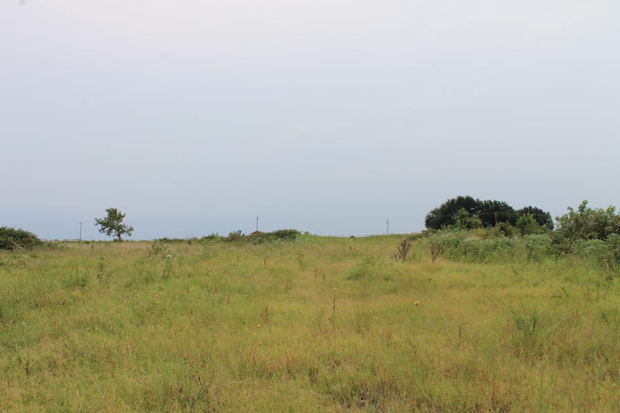 Saddlebrook Ranch Tract 36 photo 12