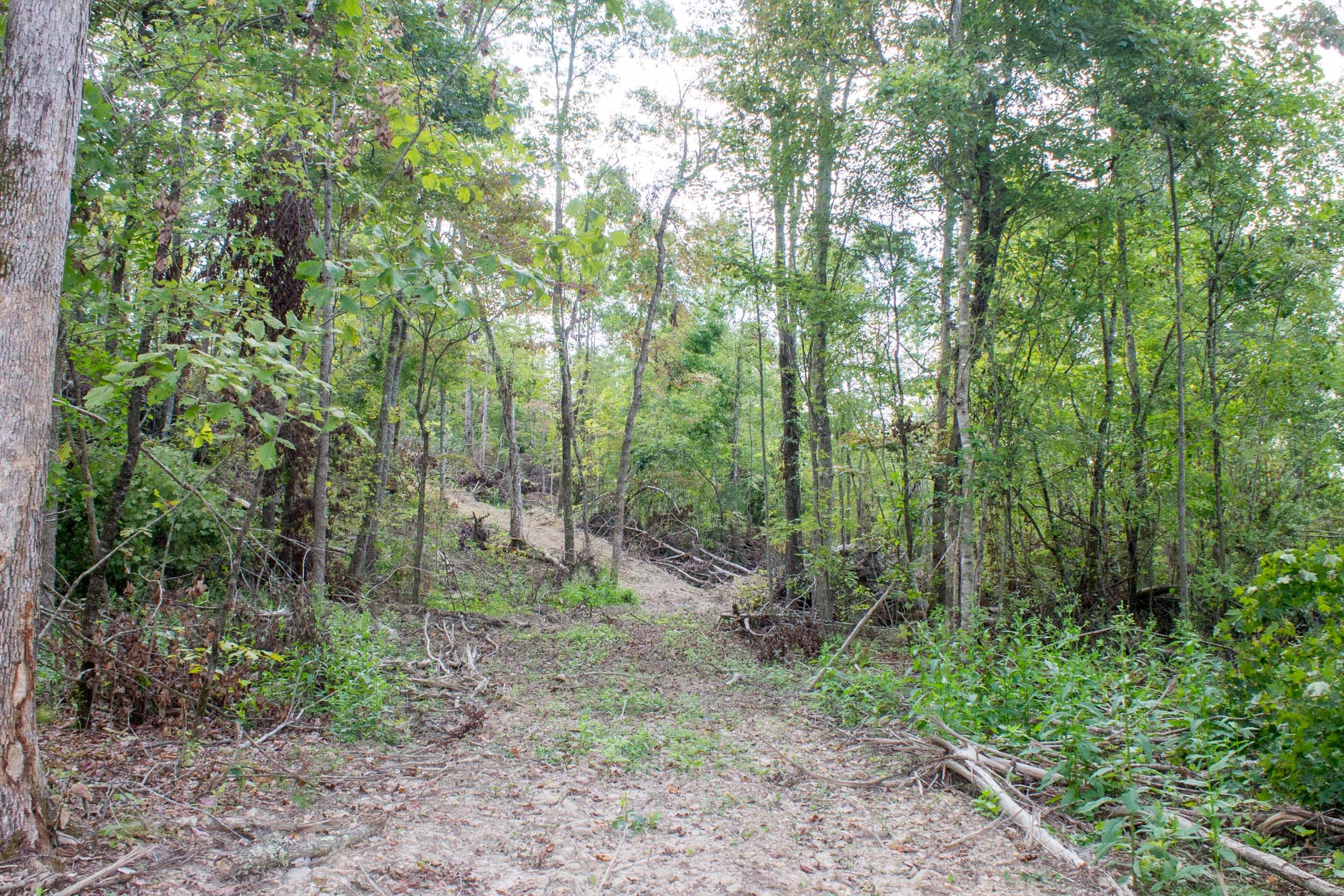 Buck Run Ridge Tract 16 photo 5