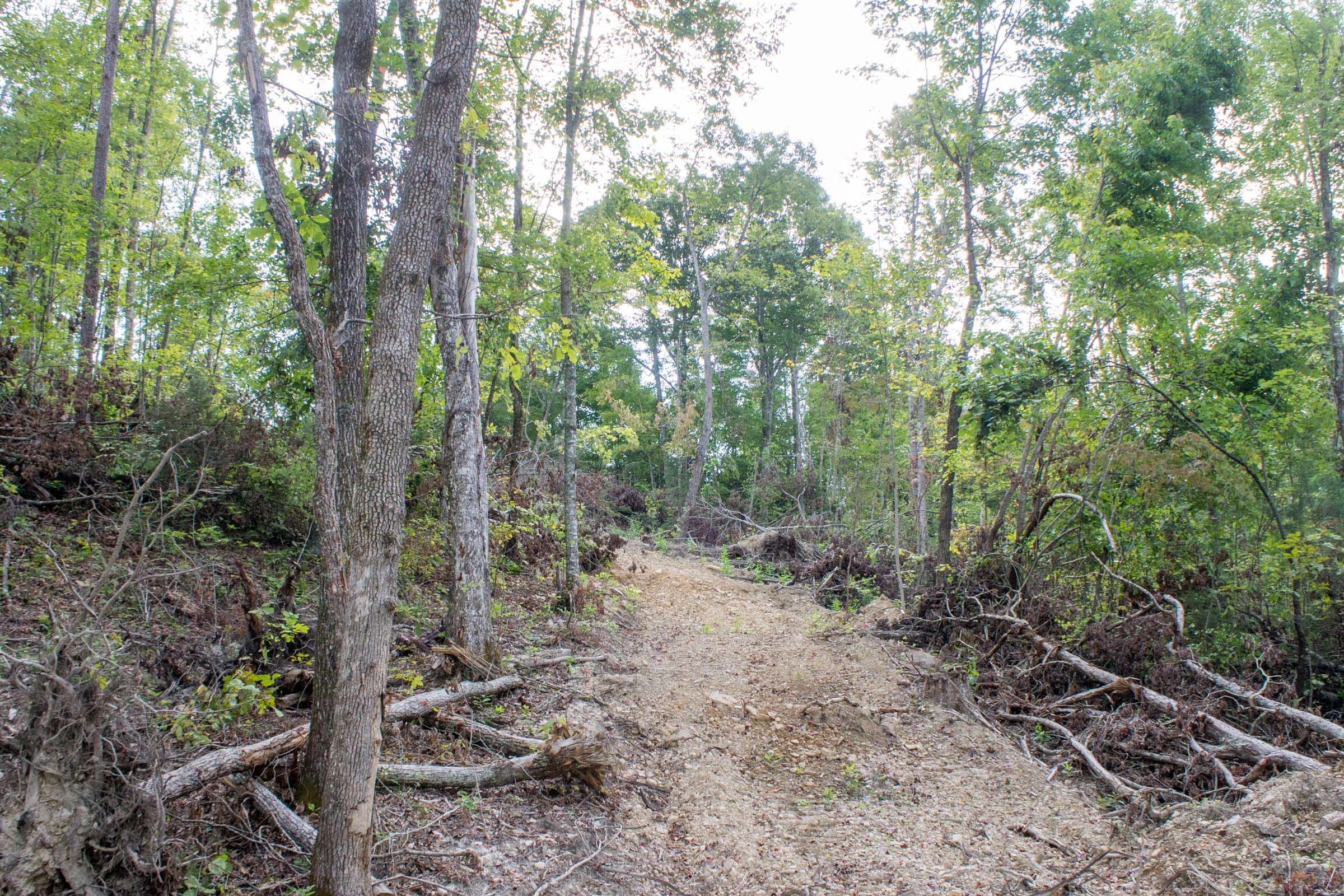 Buck Run Ridge Tract 16 photo 3