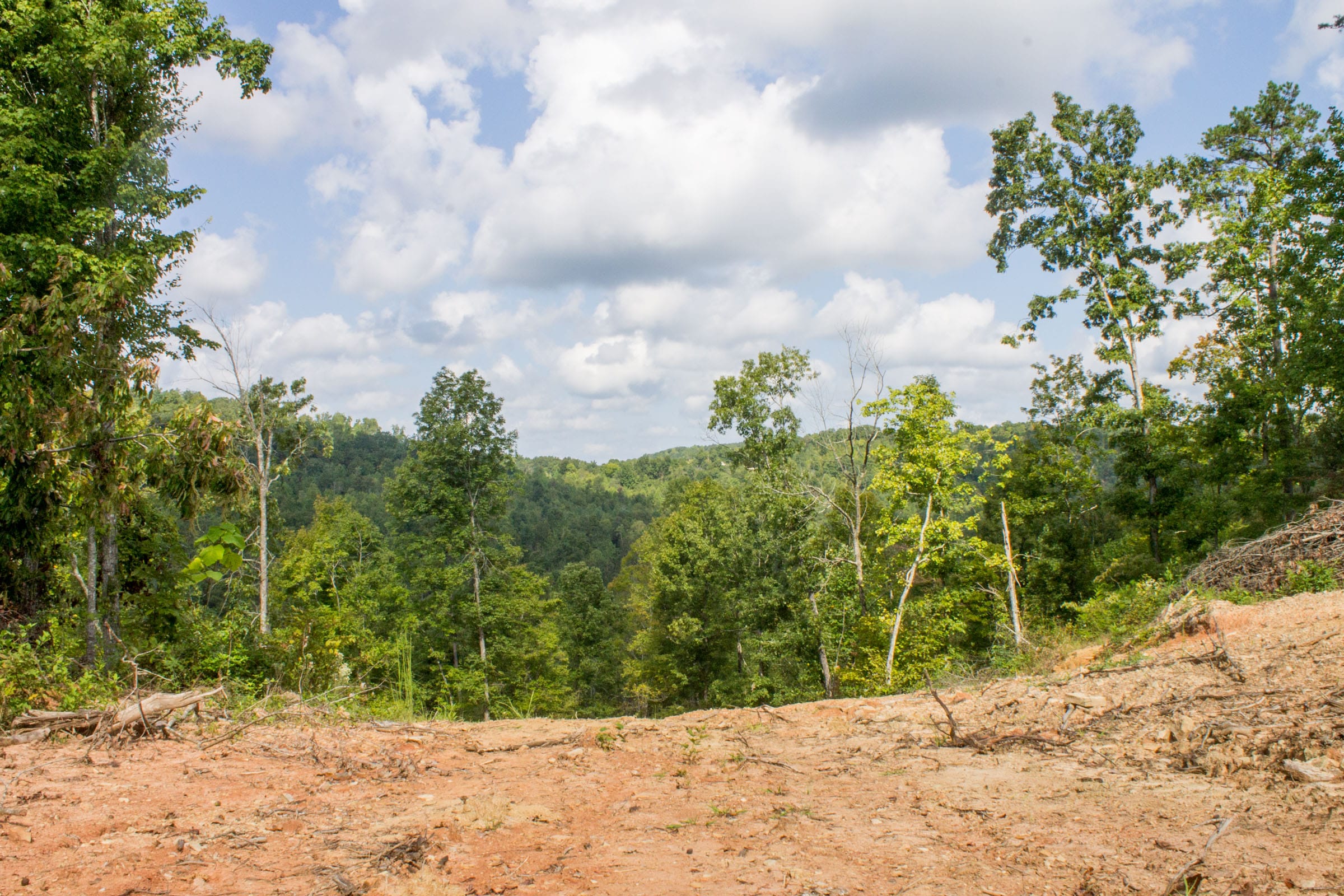Buck Run Ridge Tract 16 photo 8