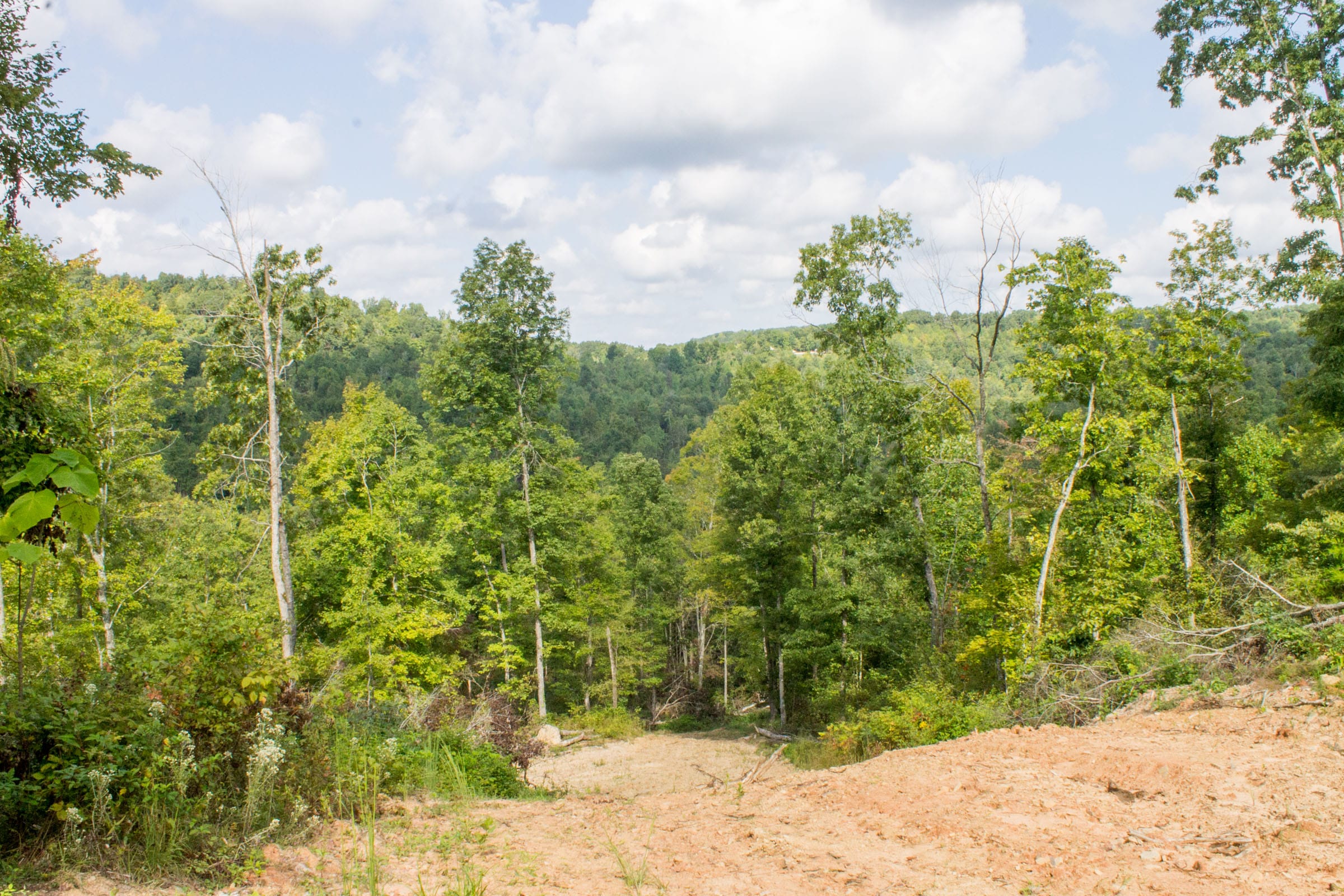 Buck Run Ridge Tract 16 photo 11