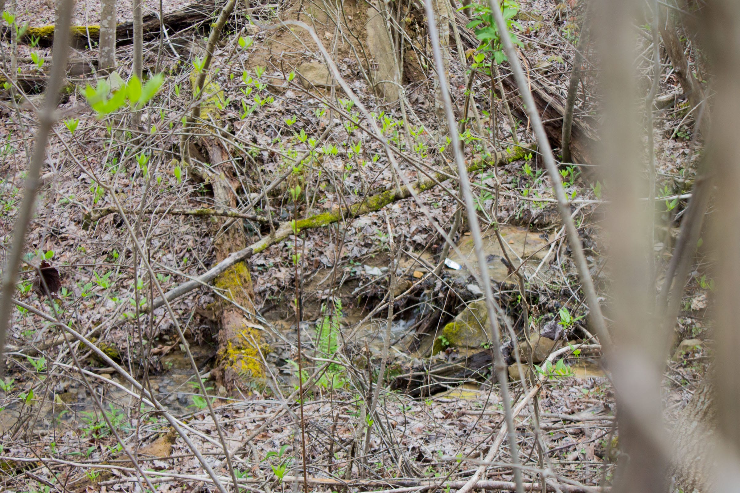 Hidden Hills Tract 33 photo 3