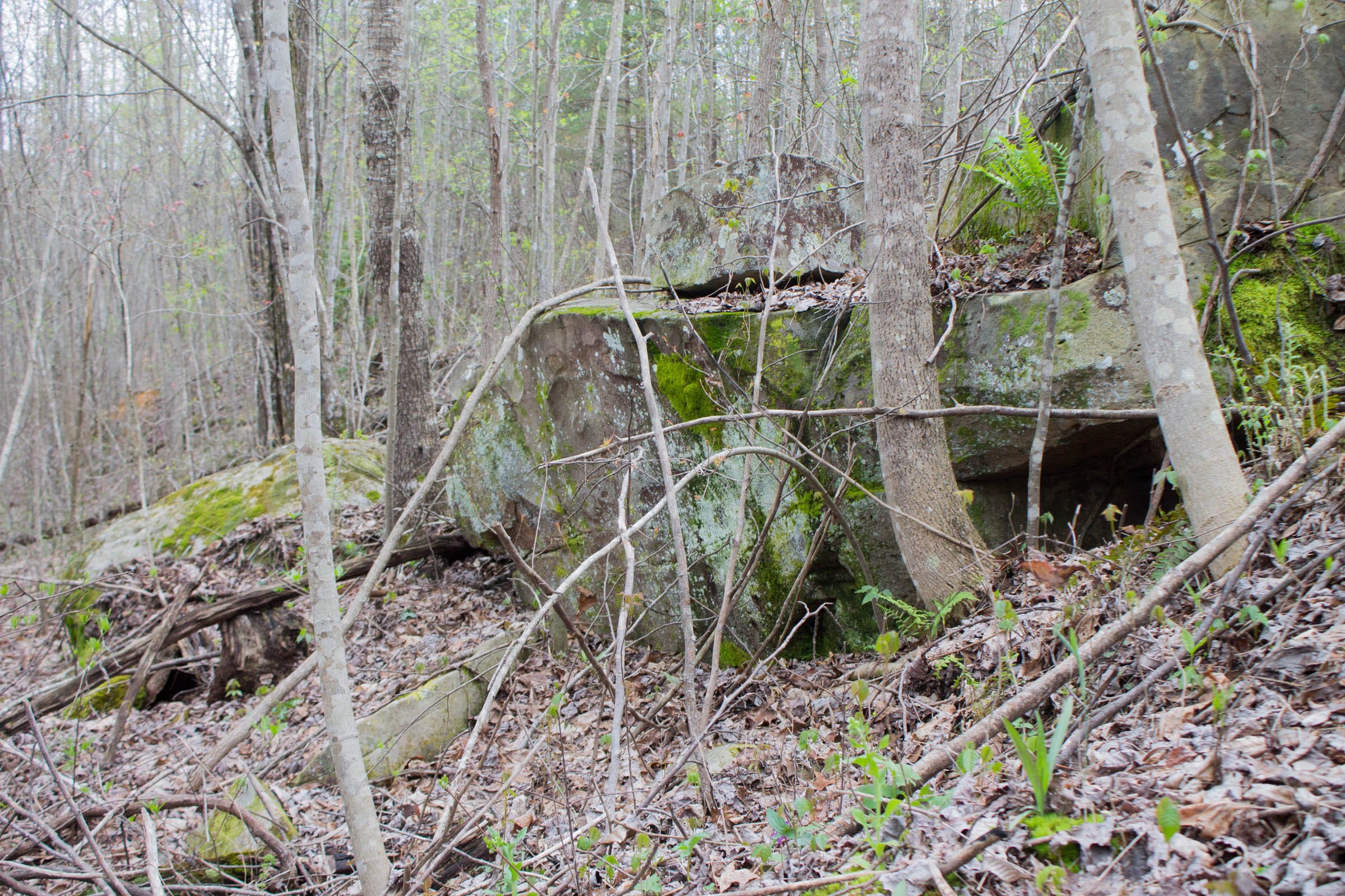 Hidden Hills Tract 33 photo 4