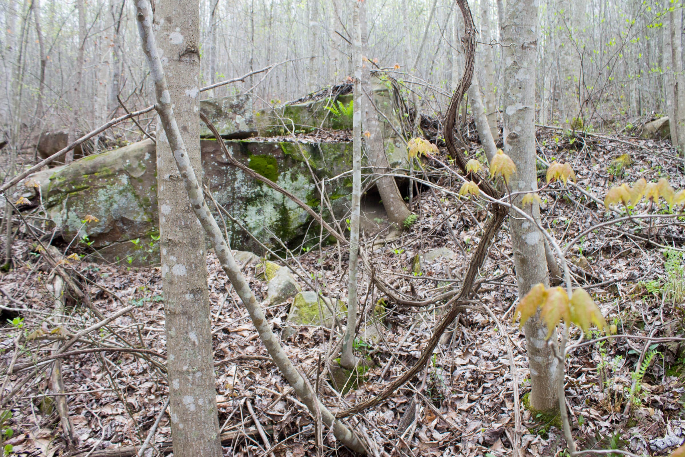 Hidden Hills Tract 33 photo 5