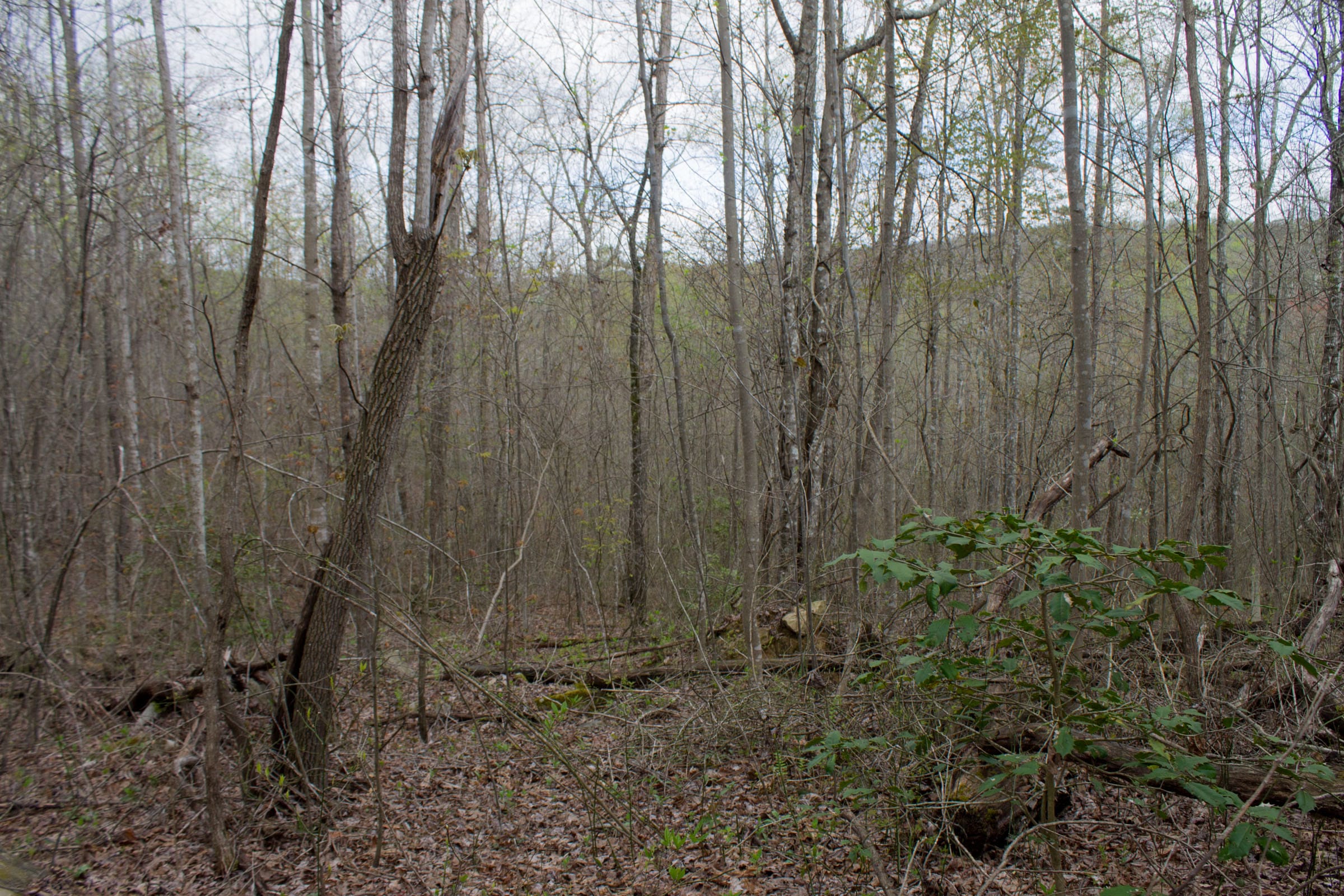 Hidden Hills Tract 33 photo 6