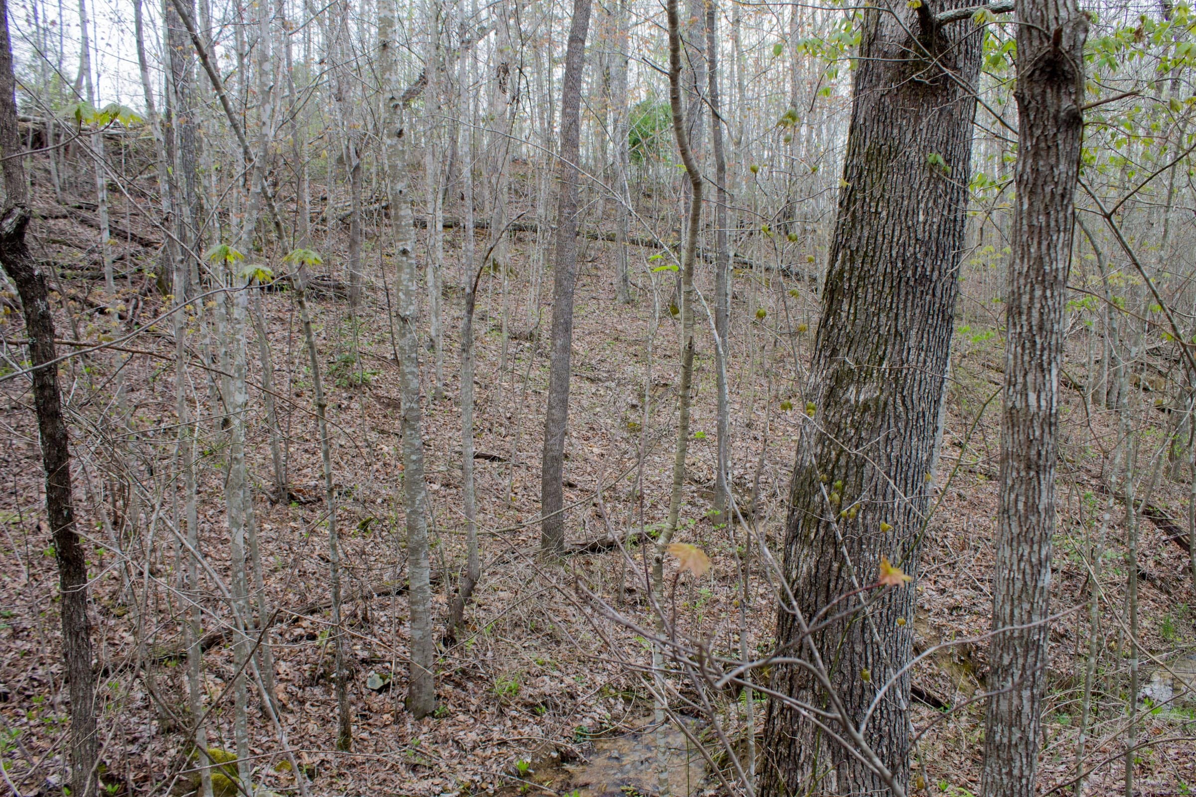 Hidden Hills Tract 33 photo 7