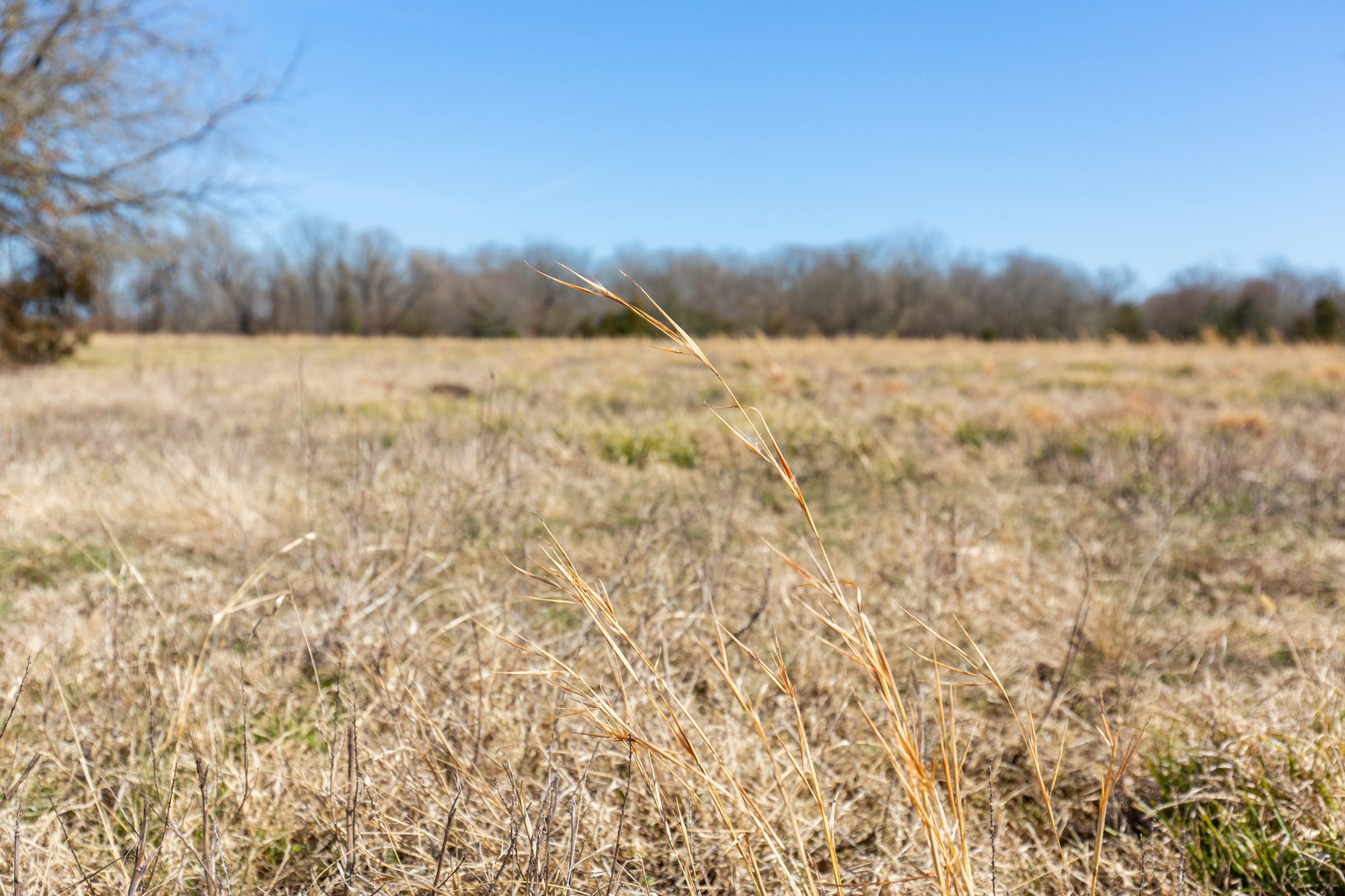 Wishing Star Ranch Tract 19 photo 2