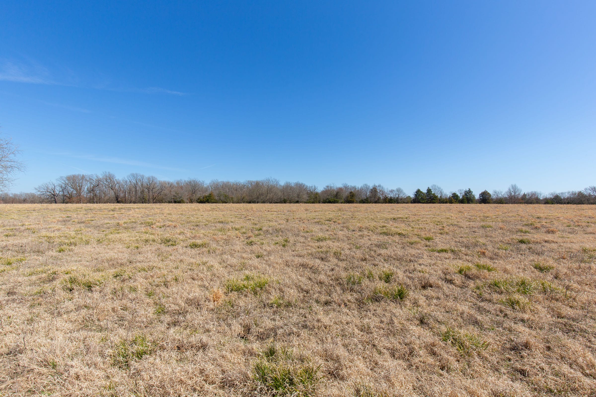 Wishing Star Ranch Tract 19 photo 3