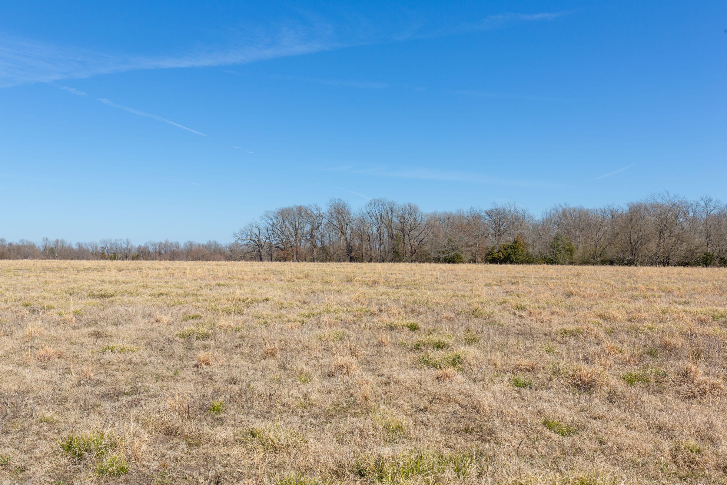 Wishing Star Ranch Tract 19 photo 4