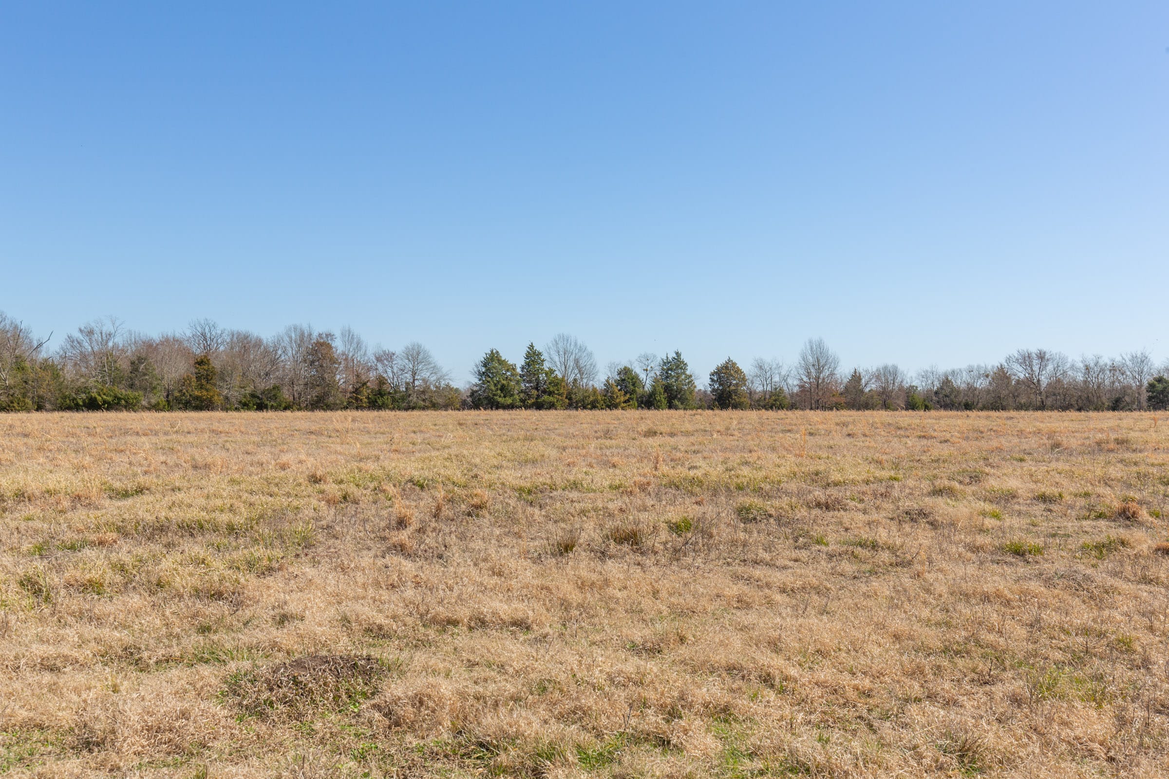 Wishing Star Ranch Tract 19 photo 5