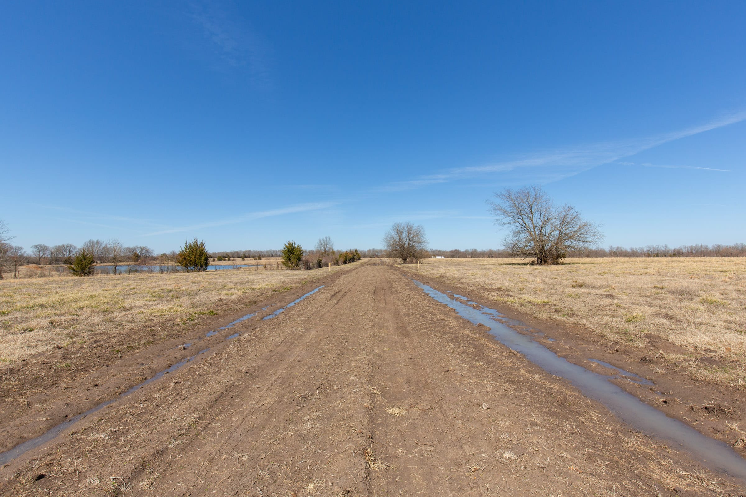 Wishing Star Ranch Tract 19 photo 7