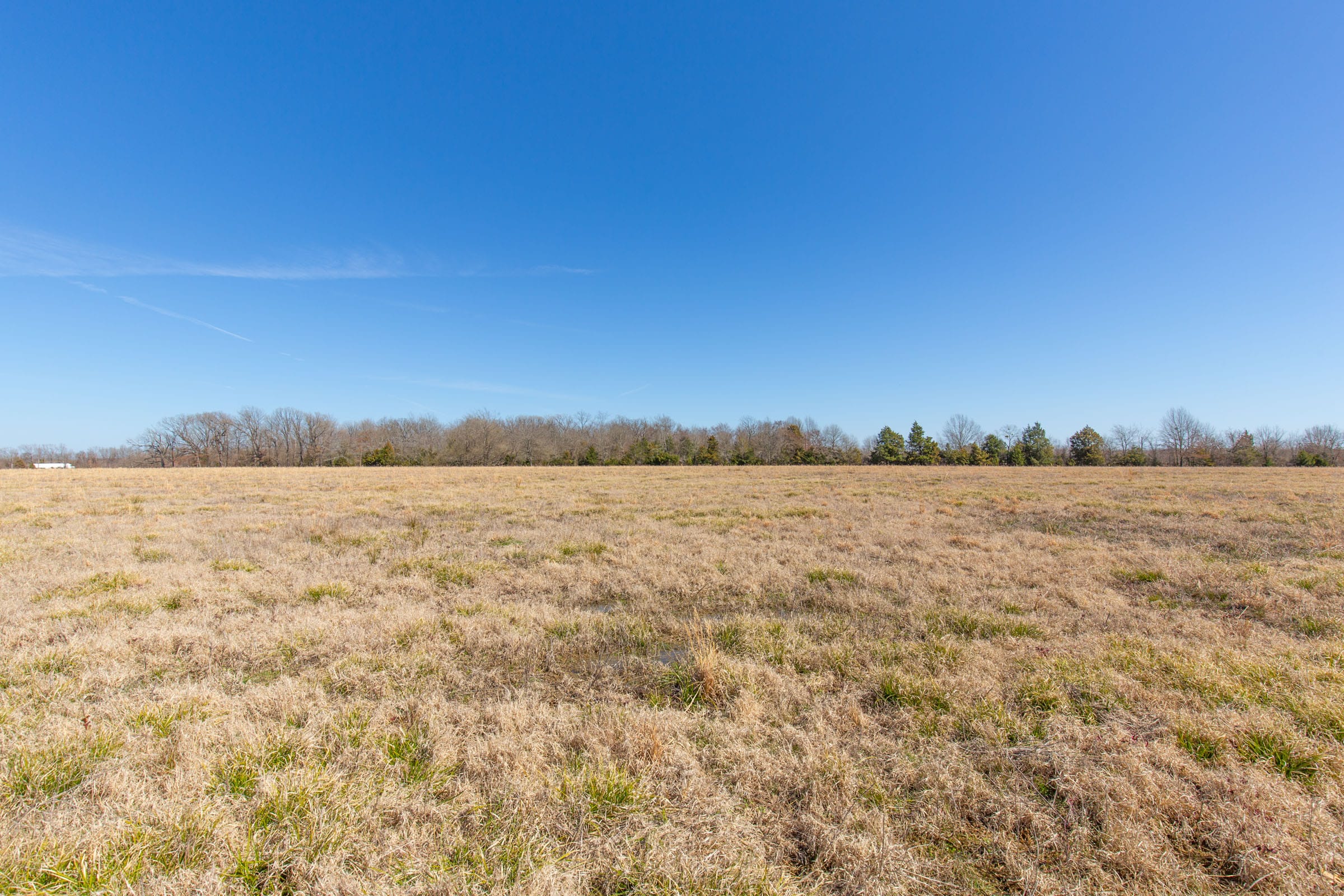 Wishing Star Ranch Tract 19 photo 6