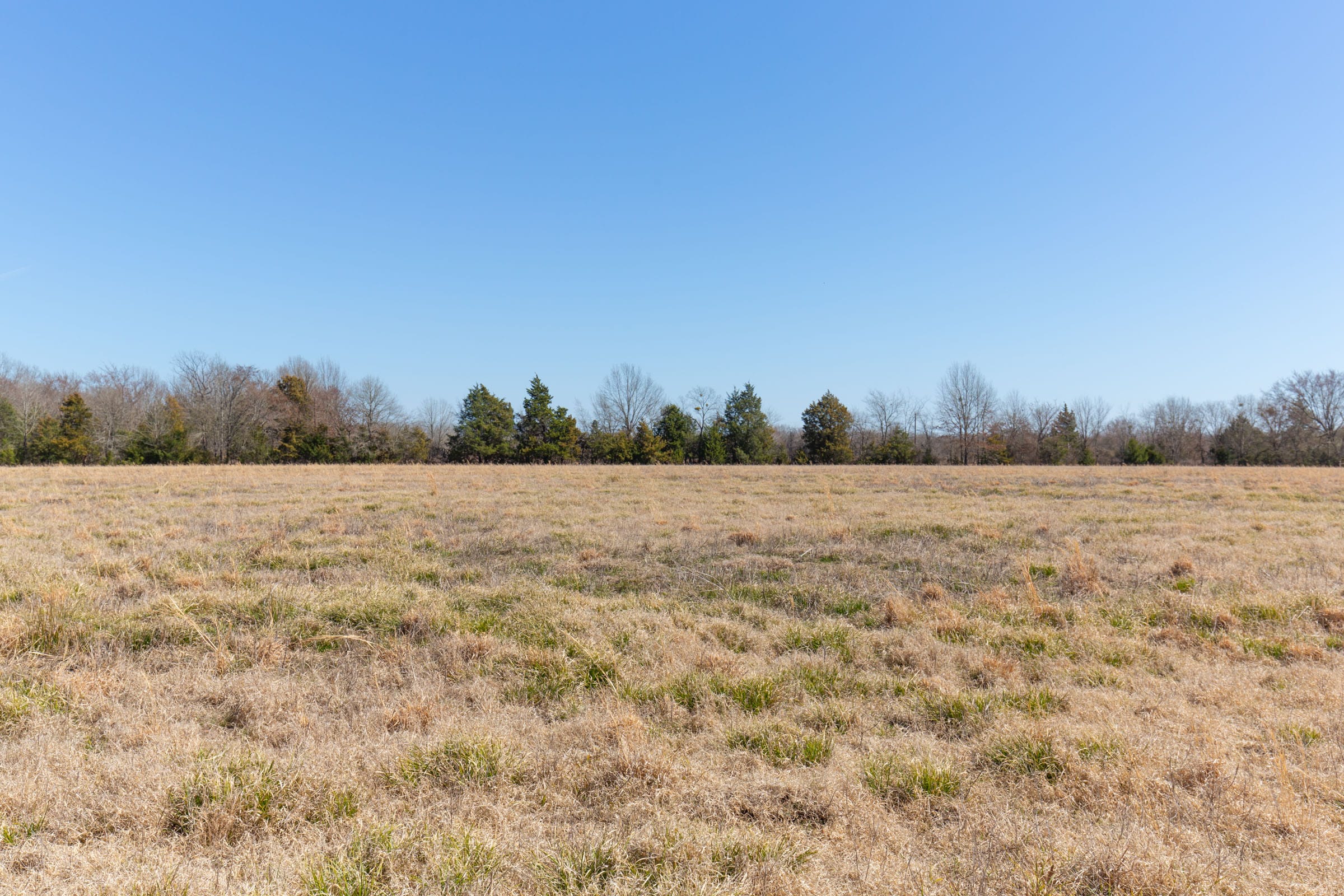 Wishing Star Ranch Tract 19 photo 8