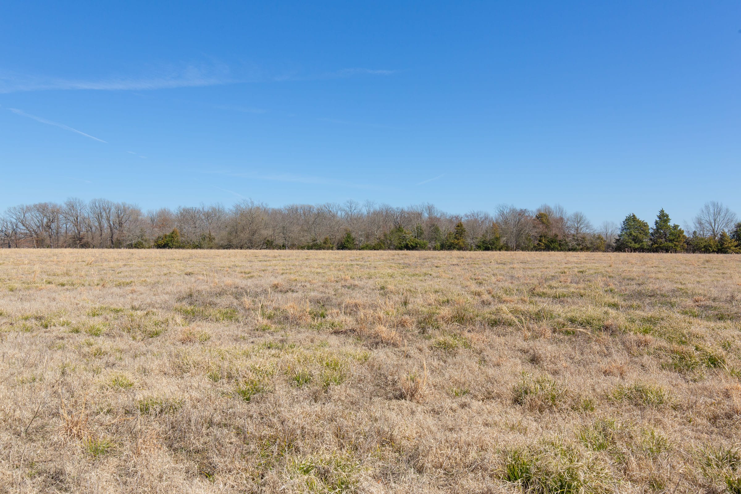 Wishing Star Ranch Tract 19 photo 9