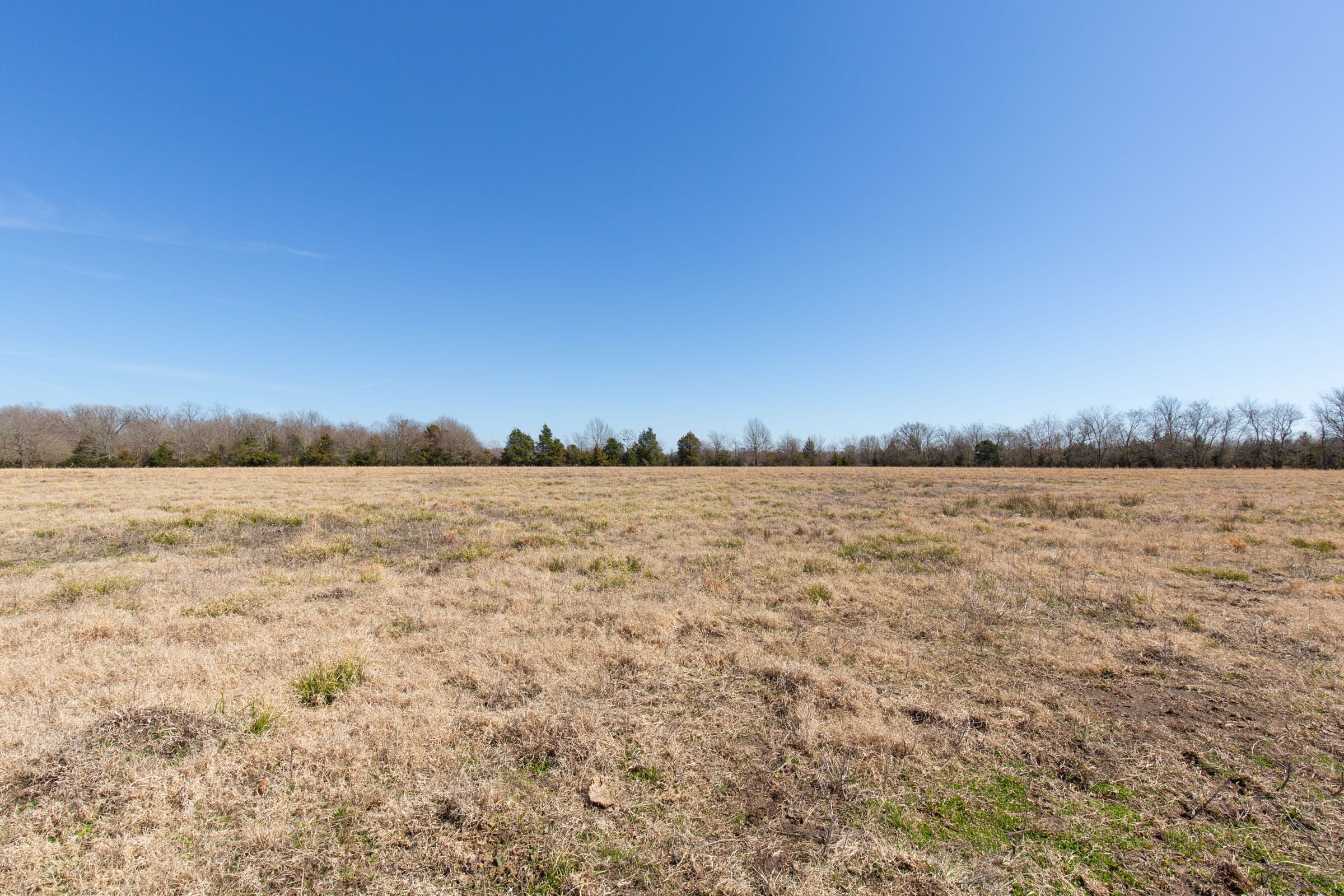 Wishing Star Ranch Tract 19 photo 10