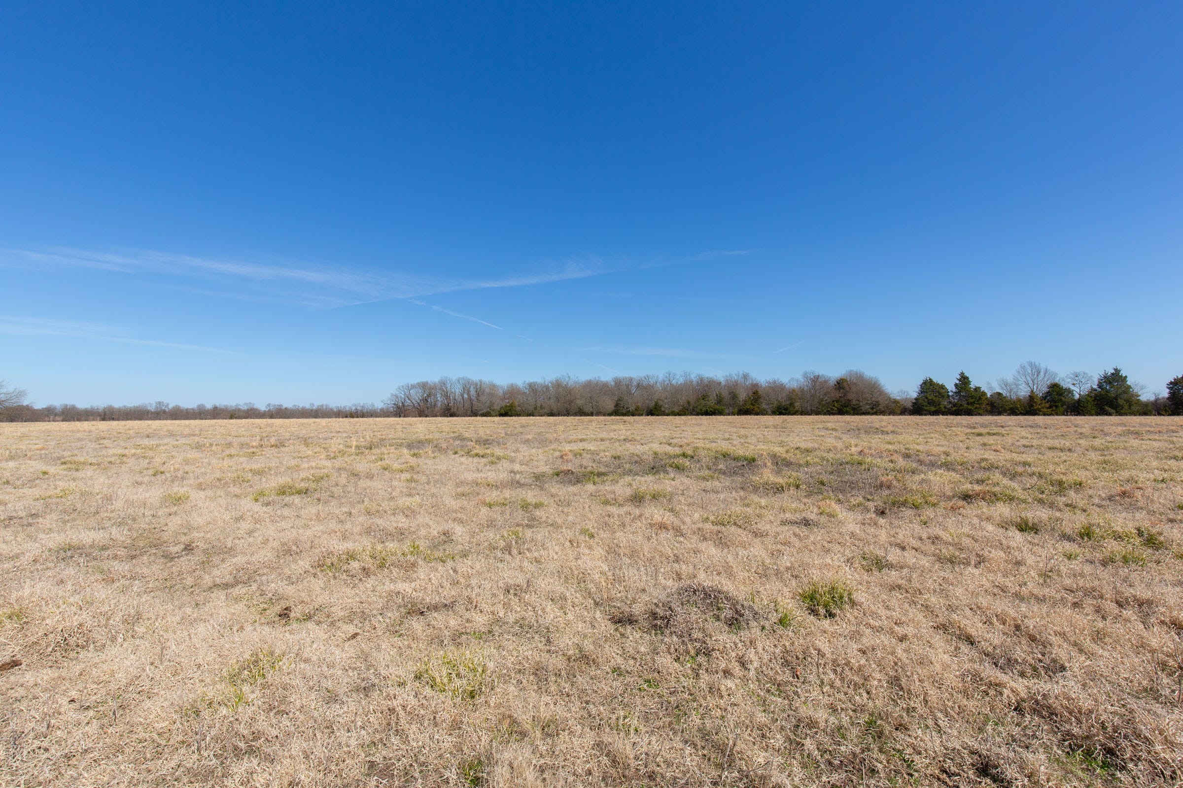 Wishing Star Ranch Tract 19 photo 11