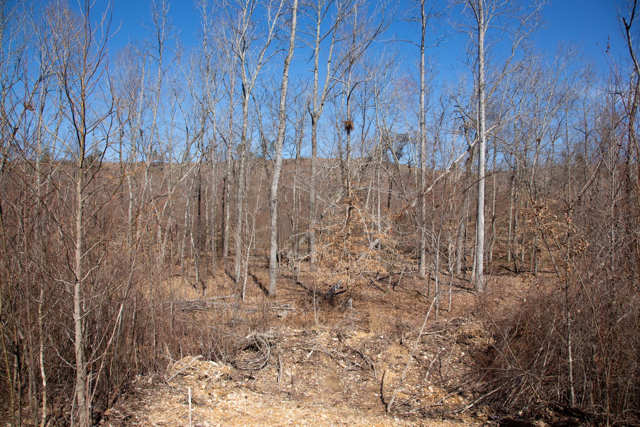 Southwind Ranch Tract 5 photo 9