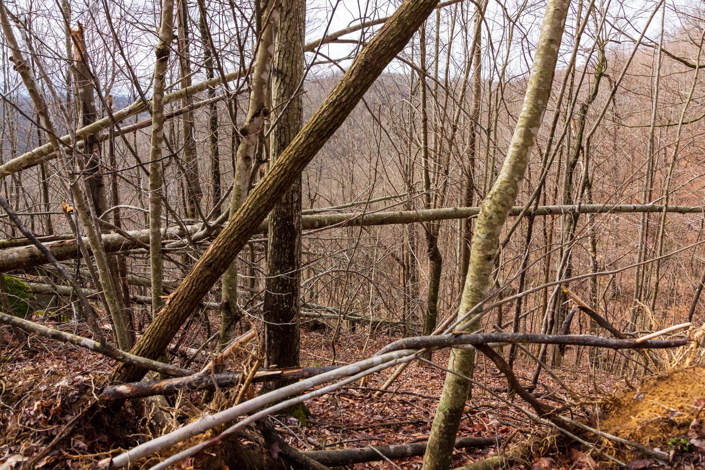 Blackstone Mountain Phase II Tract 77 photo 2