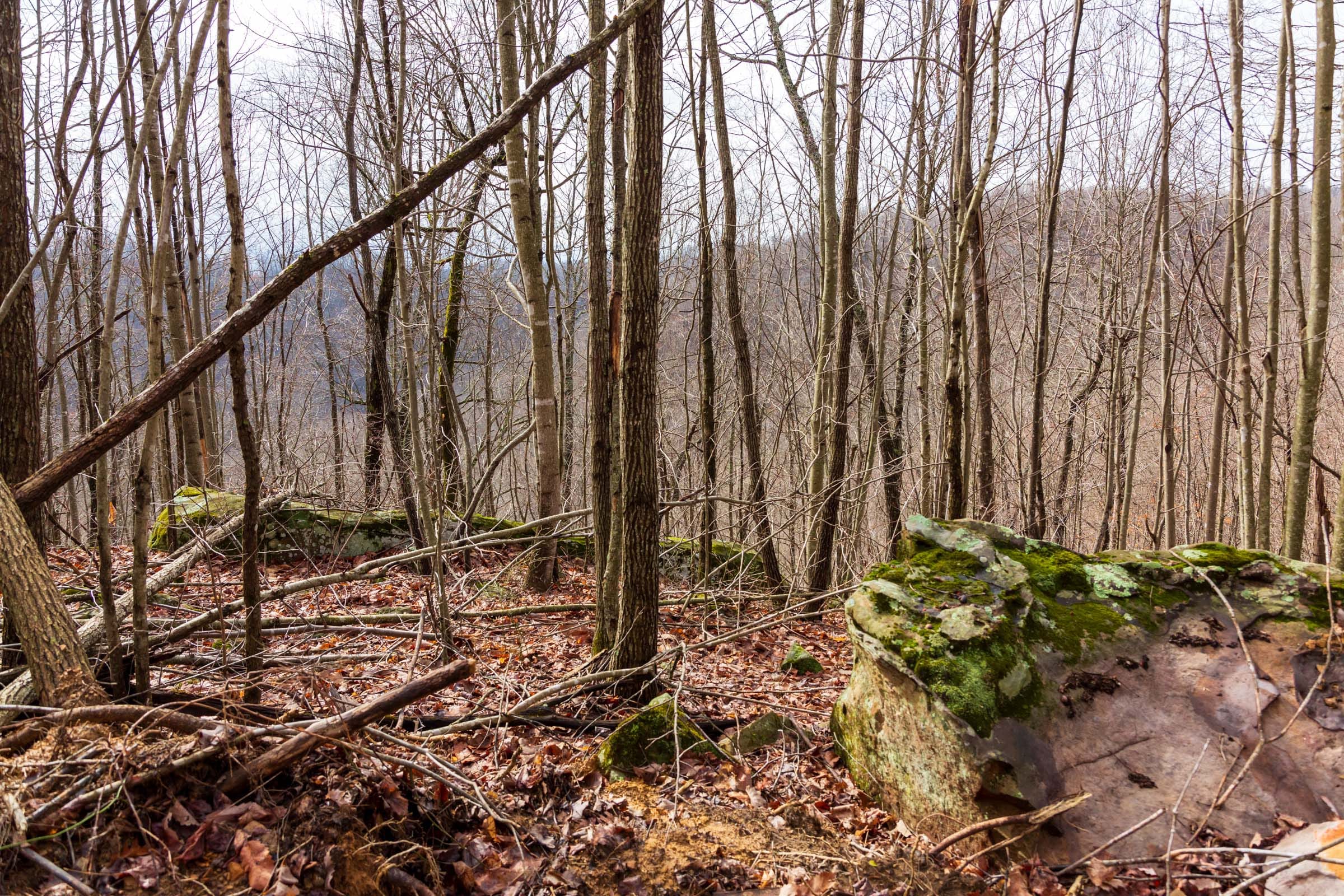 Blackstone Mountain Phase II Tract 77 photo 3