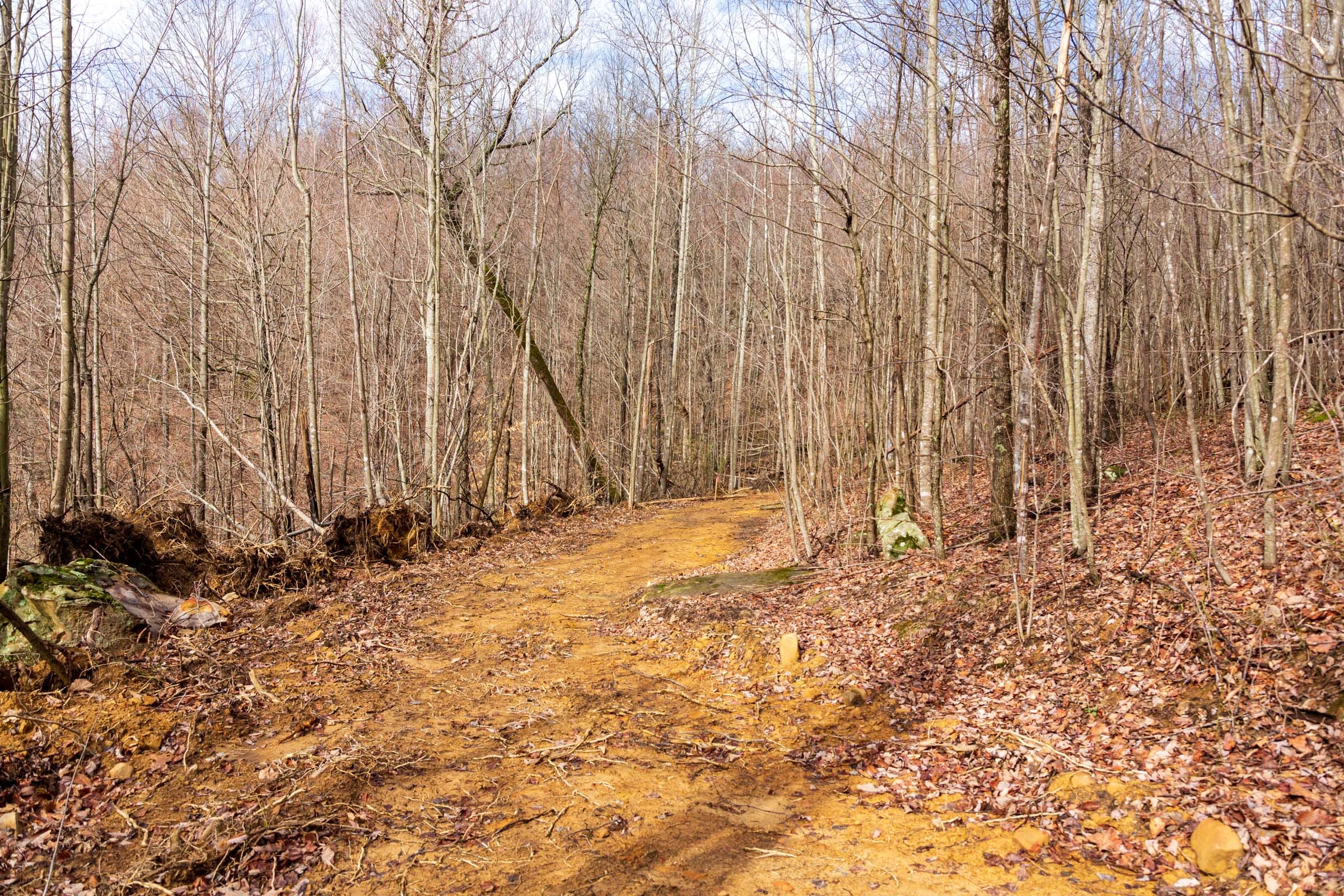 Blackstone Mountain Phase II Tract 77 photo 7