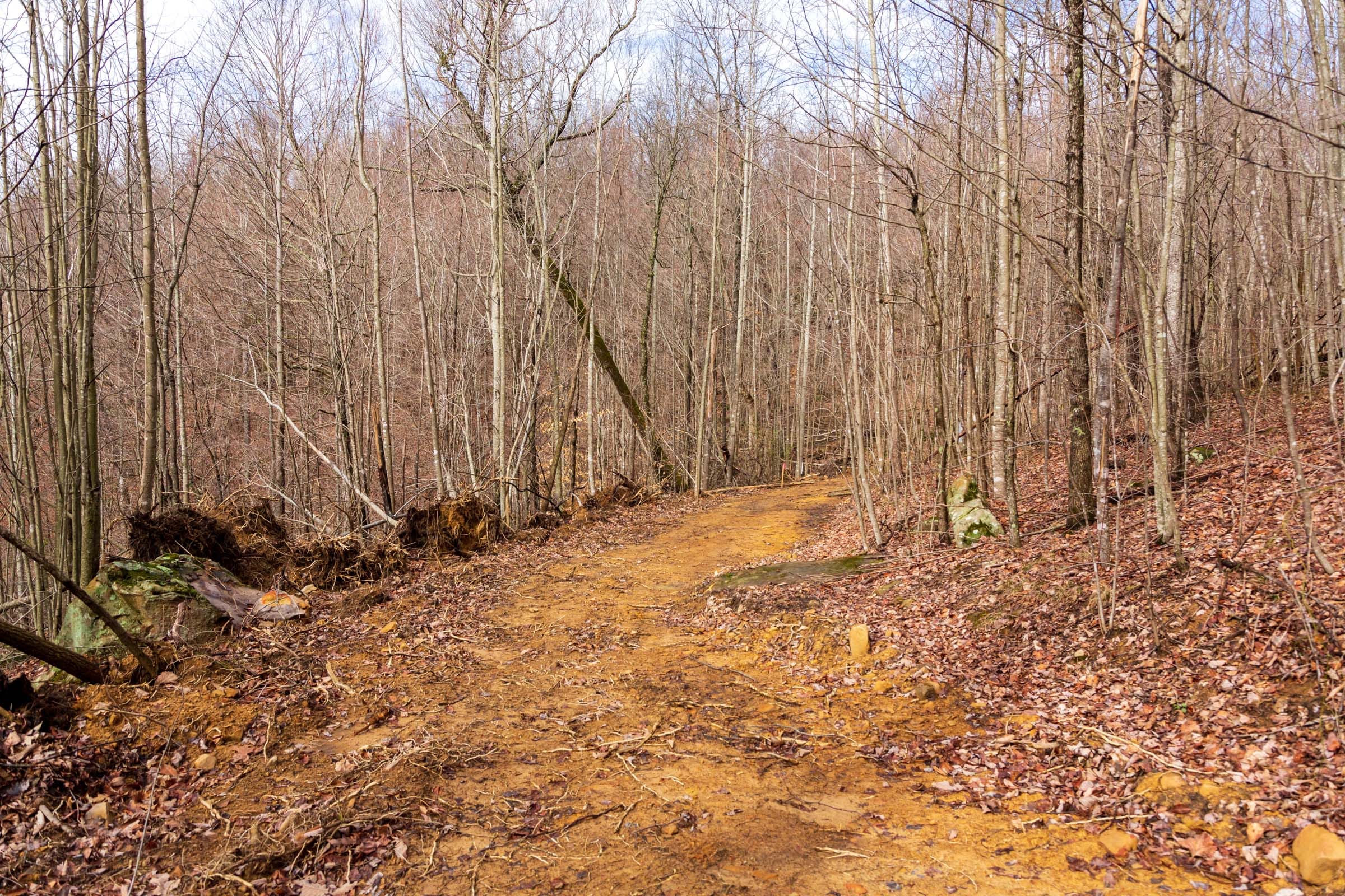Blackstone Mountain Phase II Tract 77 photo 10