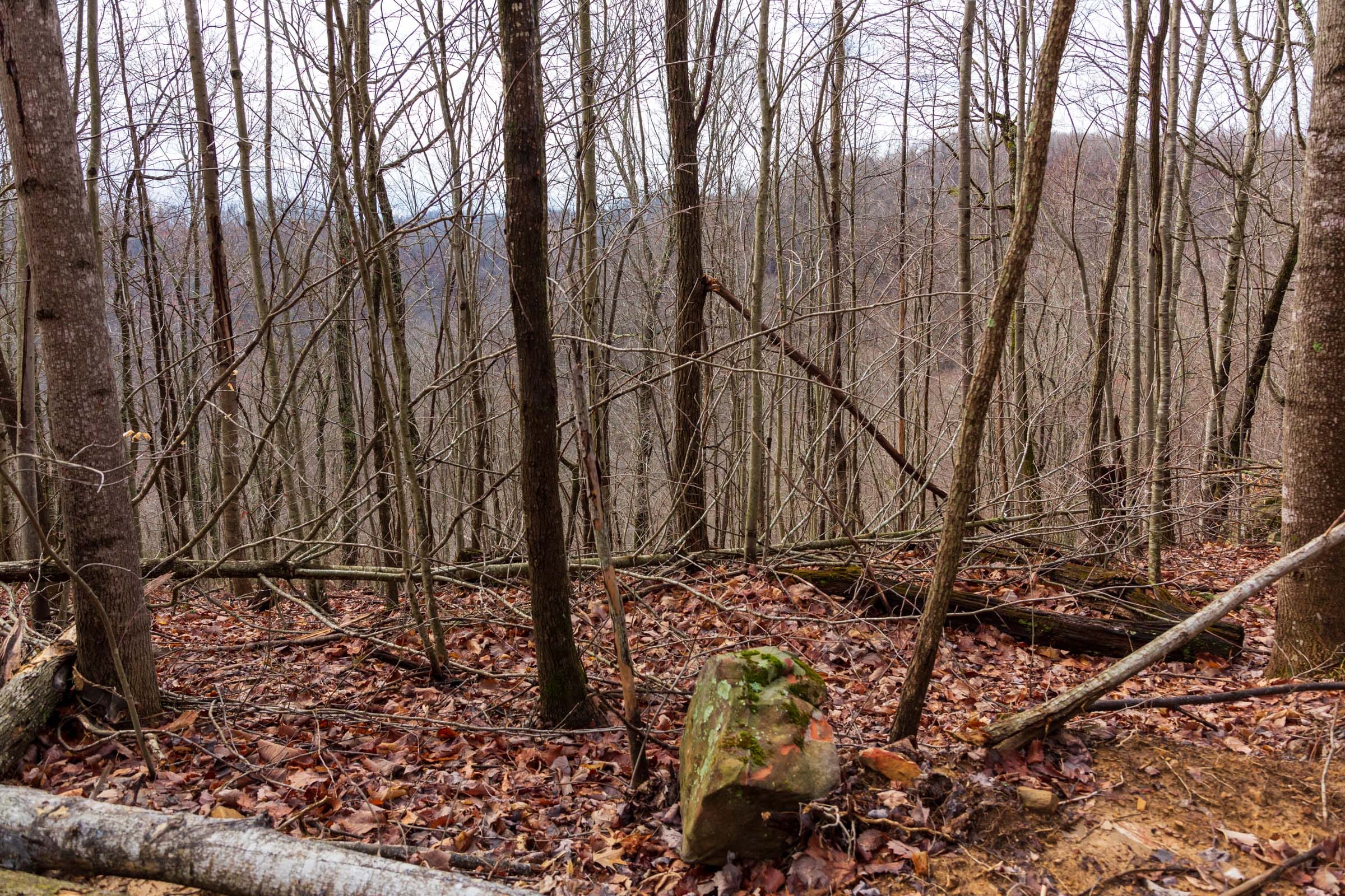Blackstone Mountain Phase II Tract 77 photo 6