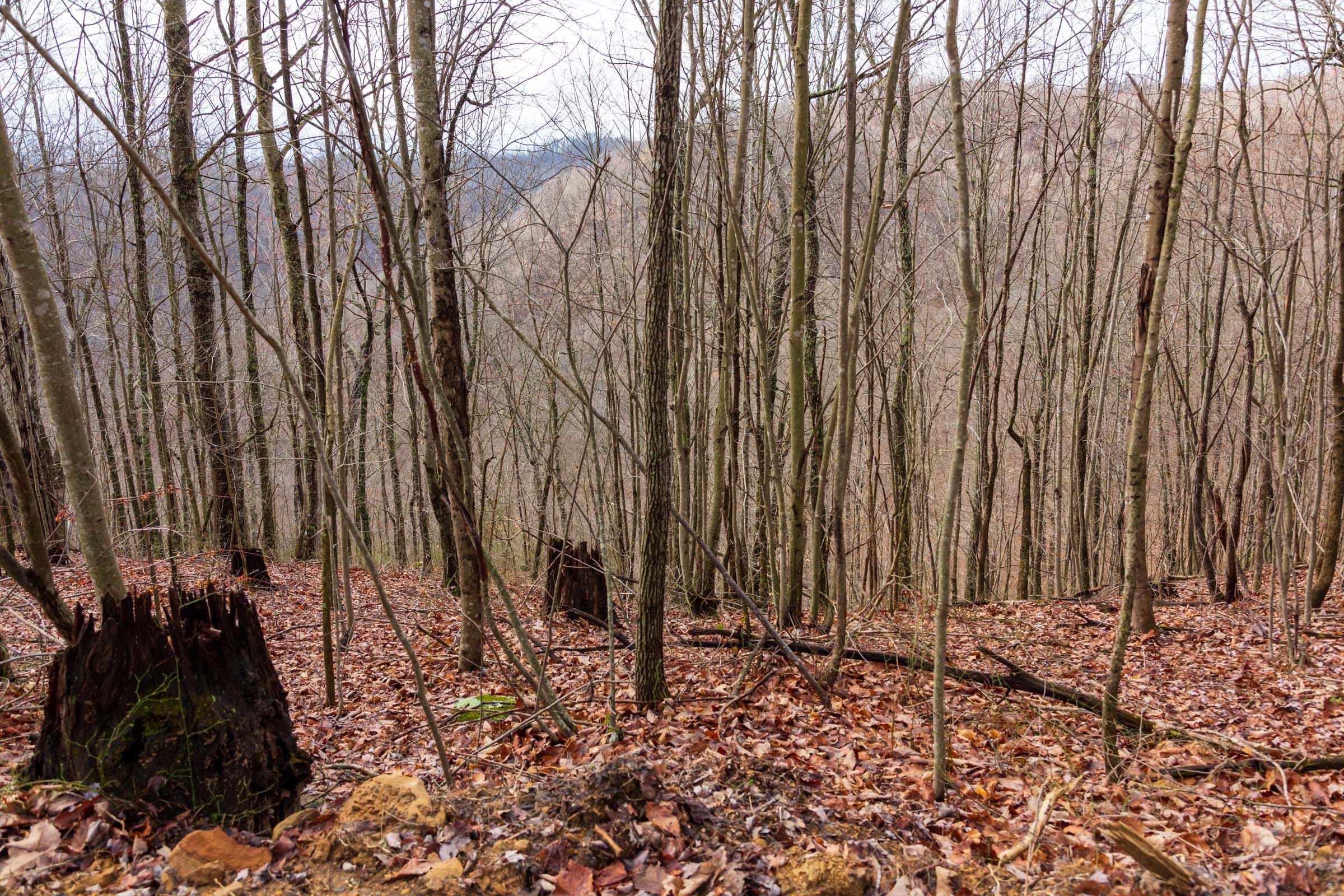 Blackstone Mountain Phase II Tract 77 photo 8