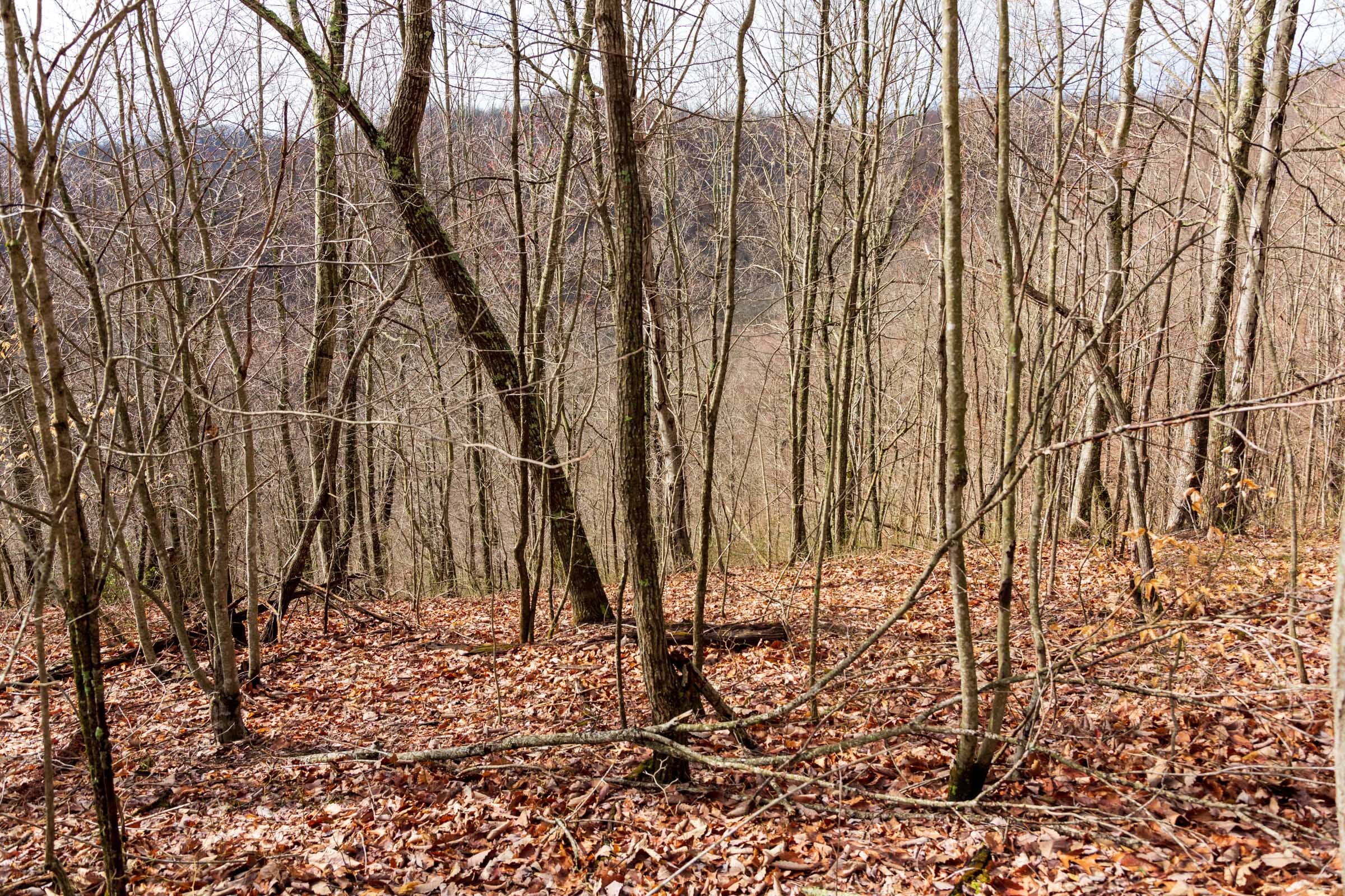 Blackstone Mountain Phase II Tract 77 photo 11