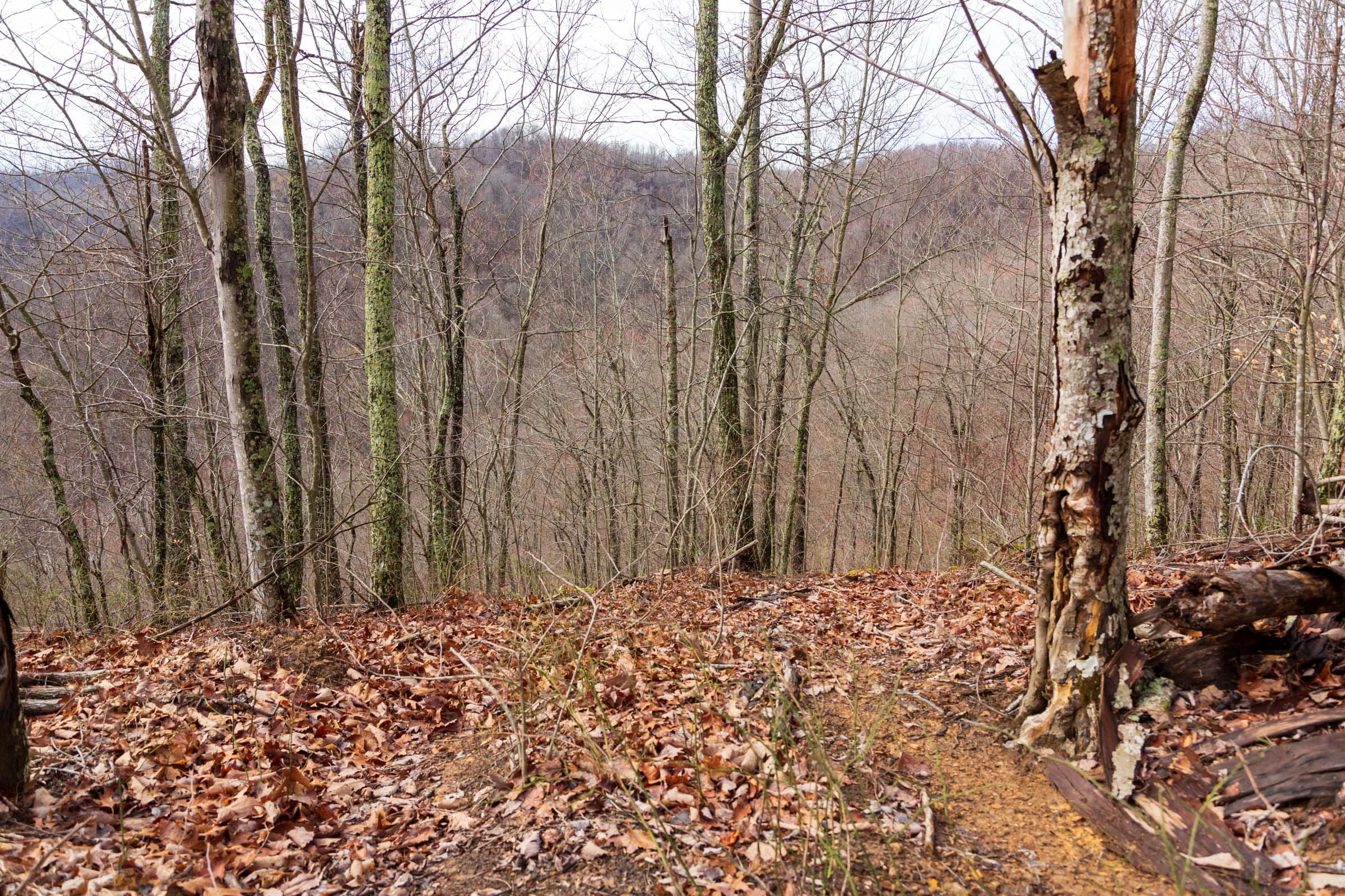 Blackstone Mountain Phase II Tract 77 photo 5